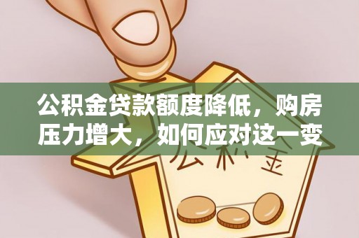 万源公积金贷款额度降低，购房压力增大，如何应对这一变化？