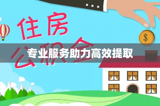 万源专业服务助力高效提取