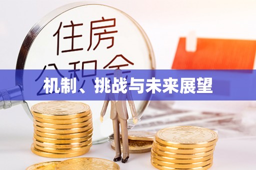 万源机制、挑战与未来展望