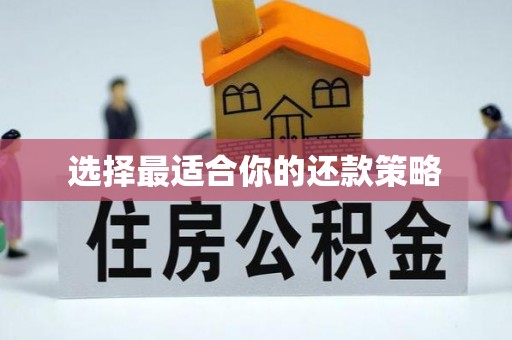 万源选择最适合你的还款策略