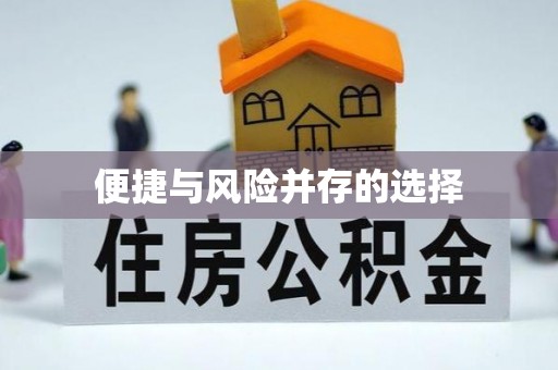 万源便捷与风险并存的选择