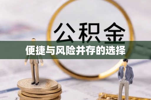 万源便捷与风险并存的选择
