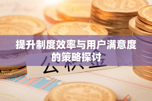 万源提升制度效率与用户满意度的策略探讨