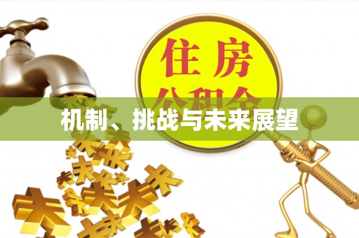 万源机制、挑战与未来展望